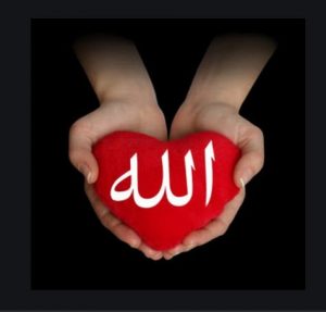 Allah Sevgisi