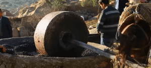 Zeytinyağı taş değirmen