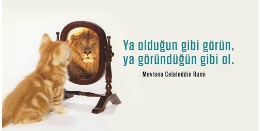 mantarlı et sote