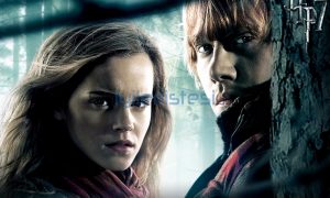 En Çok Hasılat Yapar Film Harry Potter and the Deathly Hallows